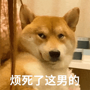  每日沙雕表情包