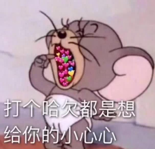 孙亚龙秃头表情包猫和老