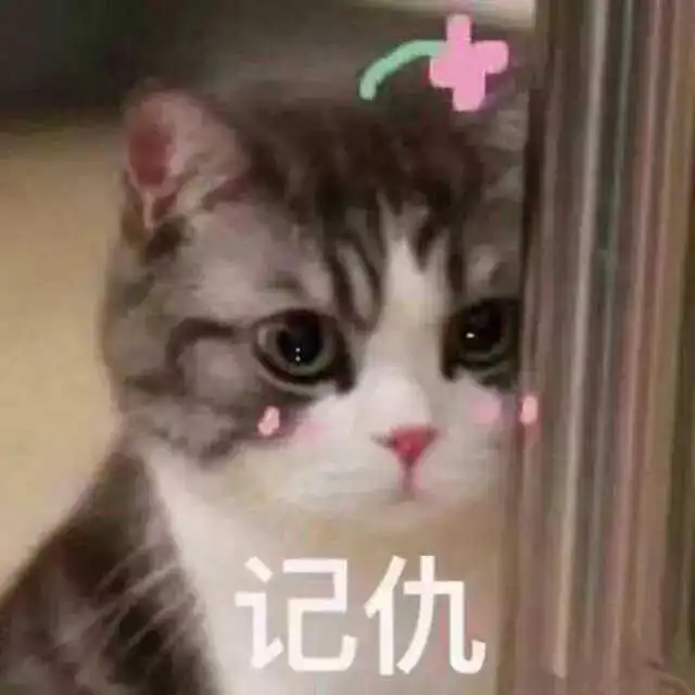 猫咪出现这些行为,说明你养猫失败 猫咪出现这些行为,说明你养猫失败