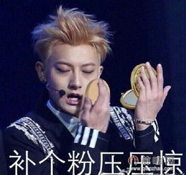  黄子韬父亲自曝身家王思聪爱找黄子韬麻烦是是因为韬爸身价吗