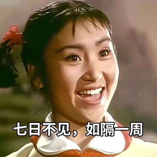 除了好笑,一点用都没有的表情包中国古话说出来老一辈说得好网易订阅