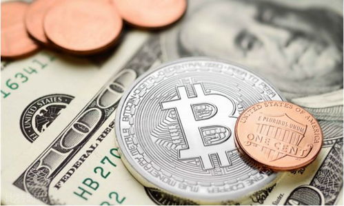  如果死忠粉承认比特币是新型的郁金香泡沫,可能会吸引更多人
