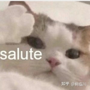  英语专业的四级啥时候考啊又几次机会啊