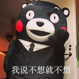  熊本熊表情包单身一时爽,一直单身一直爽