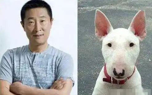 林永健牛头梗表情包老命