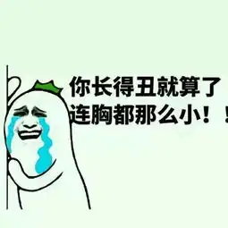 你胸太小不要讲话,表情包就服这个了 你胸太小不要讲话,表情包就服这个了