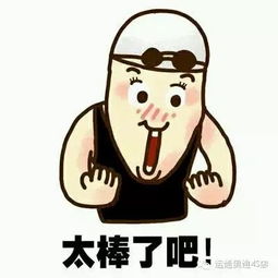  礼约奥运惠运通奥迪与您相约_大庆运通俊盈新闻资讯-汽车之家