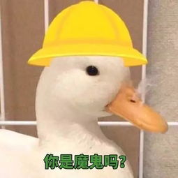  女子花43万元请闺蜜驱鬼对方拿钱去旅游还买了阿玛尼