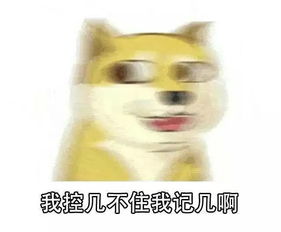 你的精打细算,真的对吗抢310特权