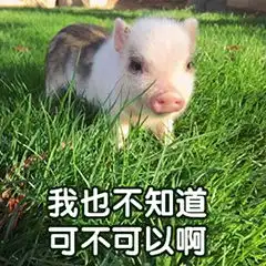 夜读大米饭吃得越多死亡几率越高中国人表示不服 夜读大米饭吃得越多死亡几率越高中国人表示不服