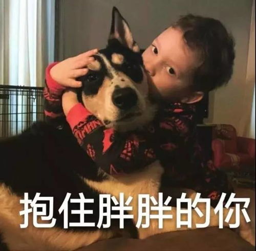  表情包小可爱假笑男孩gavinthomas开微博啦
