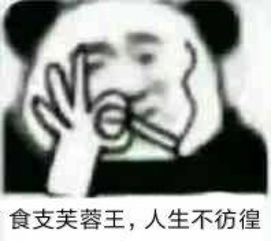  食支芙蓉王人生不彷徨食支芙蓉王彷徨人生表情
