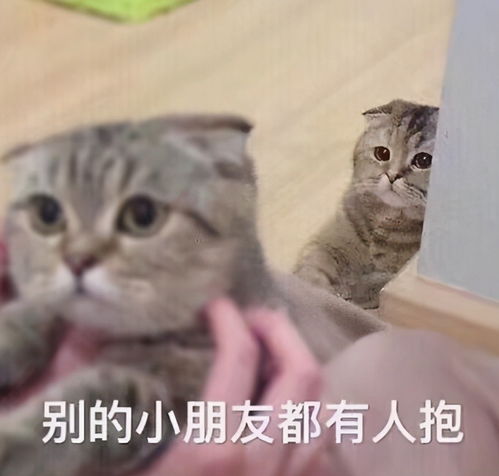  女生和男朋友闺蜜聊天表情包的差别有多大