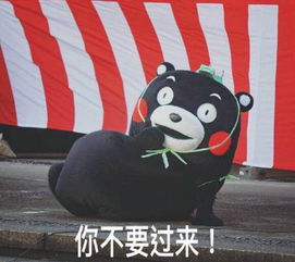  想脱单么教你如何用营销思维泡到一个对象