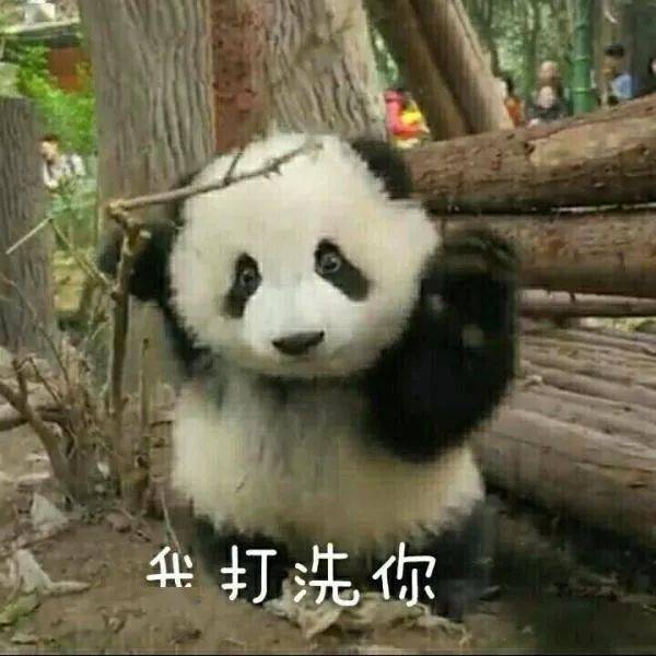  熊猫头骂人搞笑表情包