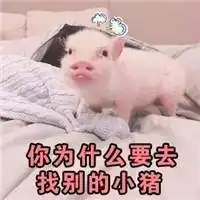 猪猪表情包你是不是在外面有别的猪了 猪猪表情包你是不是在外面有别的猪了