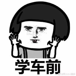  教练,我科目二又挂了你个废物