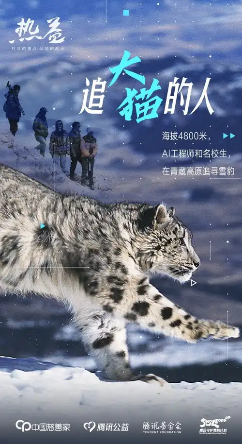 海拔4800米,一群ai工程师和名校生,在青藏高原追雪豹 海拔4800米,一群ai工程师和名校生,在青藏高原追雪豹