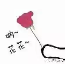 连州市花,就是这么香 连州市花,就是这么香