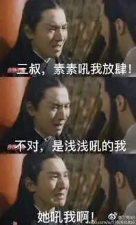  三生三世十里桃花搞笑图片
