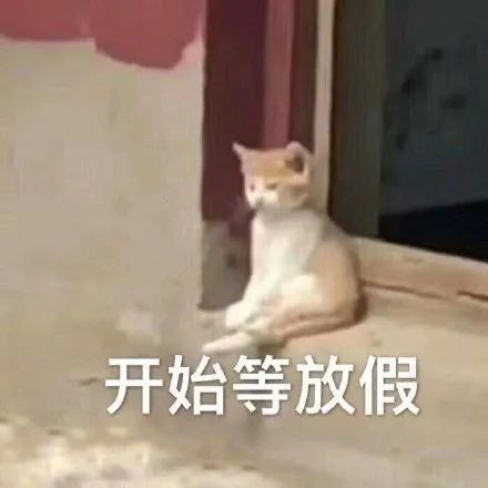  搞笑表情包心有猛虎嗷呜嗷呜