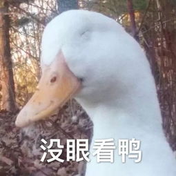  将被罚款在珠海骑共享单车,千万别这么干