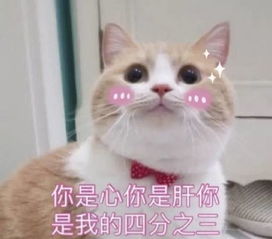 我们青春正好,她们年华已老 我们青春正好,她们年华已老