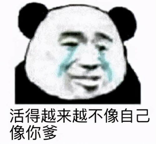  熊猫头斗图表情包合集你这样就不可爱了