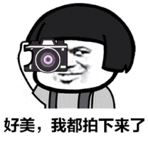  夸女人漂亮表情包哇,好美,我都拍下来了