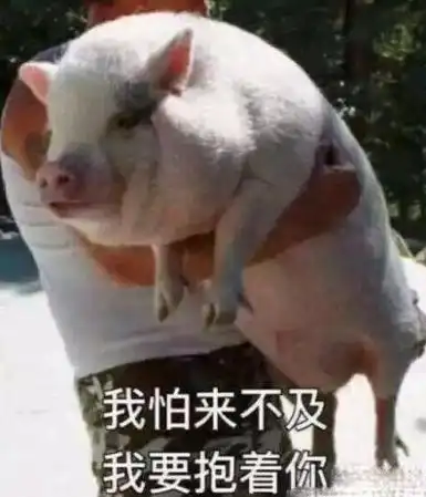 贵了不少德阳人天天吃为啥会涨价 贵了不少德阳人天天吃为啥会涨价