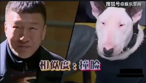 饰演反派专业户,从演技派成为综艺咖,孙红雷再次用实力证明自己 饰演反派专业户,从演技派成为综艺咖,孙红雷再次用实力证明自己