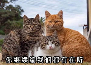  佟丽娅红毯再也不用全身擦粉翻车了20分秒变白黑科技有用吗