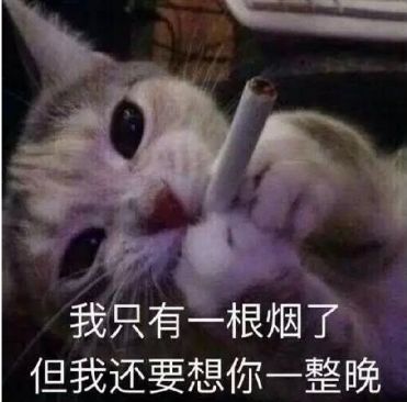 怼人全套表情包大炮