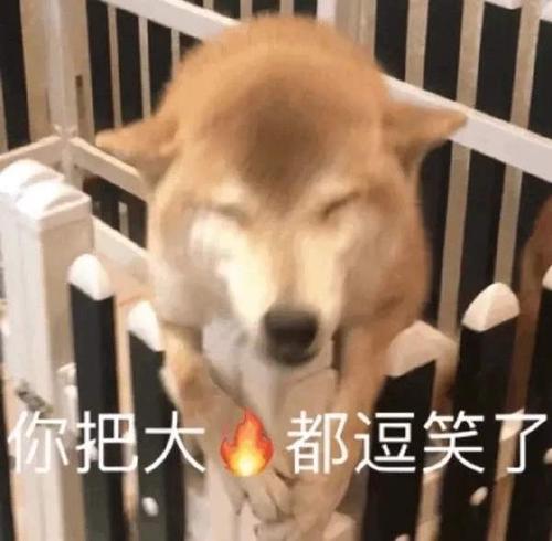  开心一笑表妹支付宝转账输错了账号,把十多万转给一个陌生男的