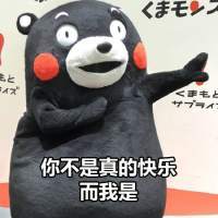  熊本熊微信表情包带字我们不要再见面了