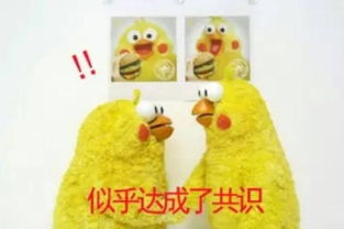  你在做什么事时会有仪式感