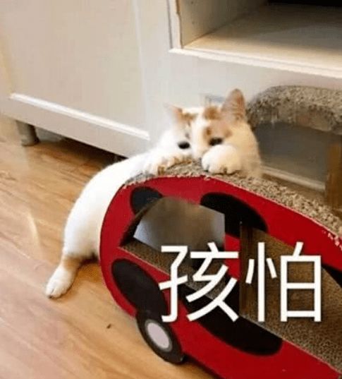  左转弯,不简单关于左转弯,这些规则要知道