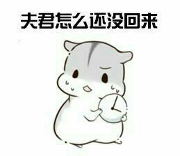  有一个摩羯座的男友是怎样一种体验
