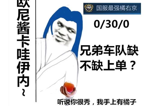  王者荣耀国服表情包
