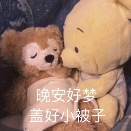 偷得半日闲关于爱与勇气