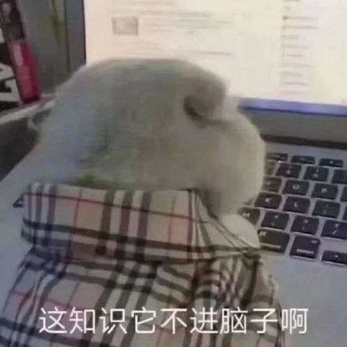  初试252,管综181,人大图情已上岸,超详尽管理类联考经验贴