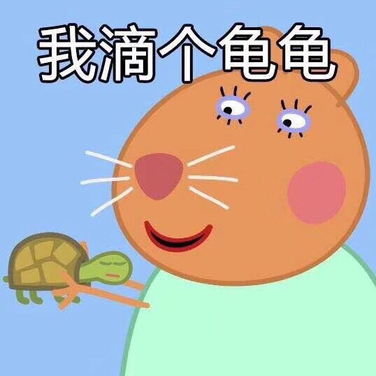 斗图表情包乌龟表情包