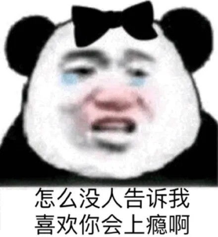  斗图表情包看我喜欢的人在不在
