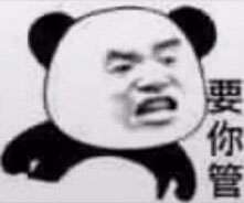  抖音熊猫头要你管表情包无水印图片大全