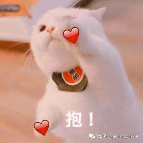  这是什么神仙颜值粉底液呀