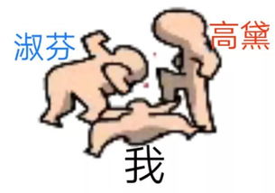  表情达意本届最佳表情包新鲜出炉啦