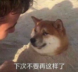 刀震乾坤表情包舔狗