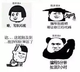 表情包什么格式程序员