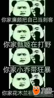  王者荣耀斗图表情包第147期你家李白不会开大