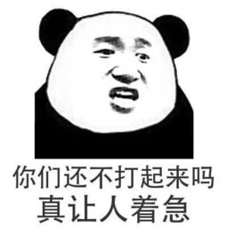  春节表情包斗图加油站